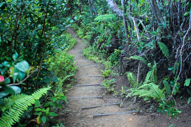 Kualoa Ranch: Jungle Expedition Tour - The best photo views face Kaneʻohe Bay
