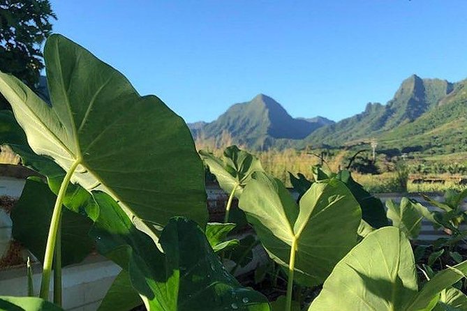 Kualoa Ranch - Kualoa Grown Tour - What the guide adds to the experience