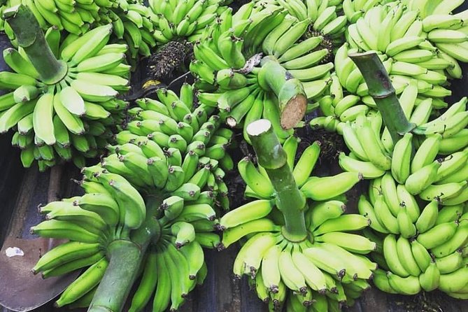 Kualoa Ranch - Kualoa Grown Tour - How much time should you allow?