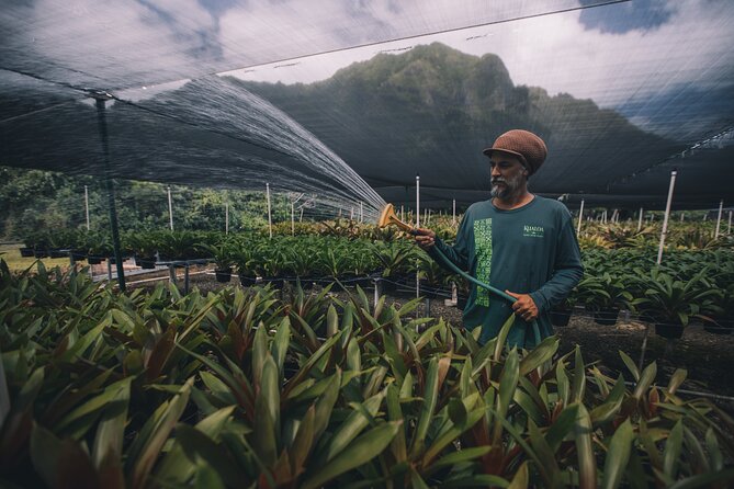 Kualoa Ranch - Kualoa Grown Tour - Who will enjoy the Kualoa Grown Tour most?