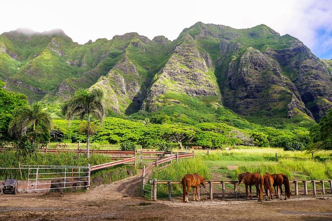 Kualoa Ranch: Ocean Voyage Tour - Key points to know before you go