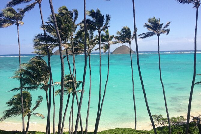 Lanikai to Mokulua islands Stand Up Paddle Board Tour - Timing, transport, and practical planning