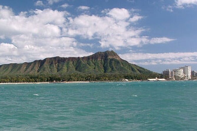 Late Breakfast Cruise in Honolulu - Dolphins, whales, and turtles are possible rewards