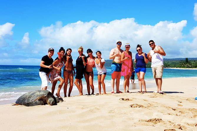 Local Expert Private Tours - Diamond Head and the southeast coast