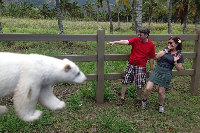 'Lost' and Movie Tour - Guides, trivia, and the personal touch