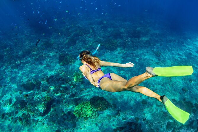 Luxury Diamond Head Sunset Sail - Key Points to Know