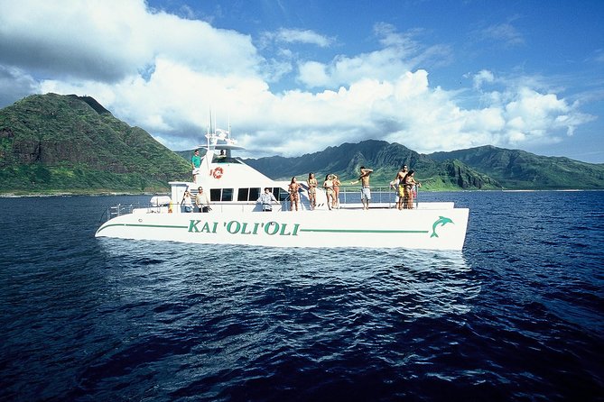 Luxury Snorkel Cruise, Local Buffet with Whale & Dolphin Watch - Wildlife watching, with nature in charge