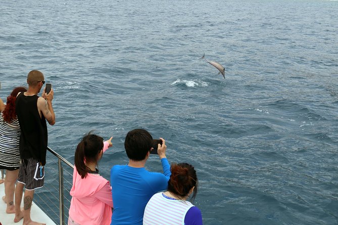 Luxury Snorkel Cruise, Local Buffet with Whale & Dolphin Watch - Waikiki pickup and the three departure choices