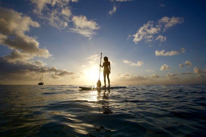 Magic Island Honolulu Stand Up Paddling - What Your One Hour on the Water Includes