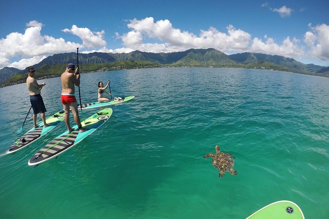 Mahina Hawaii Full Day Adventure - Waterfalls and trails for active groups