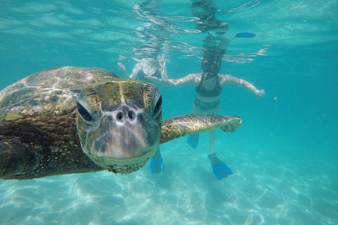 Mahina Hawaii Full Day Adventure - How the eight-hour format really works