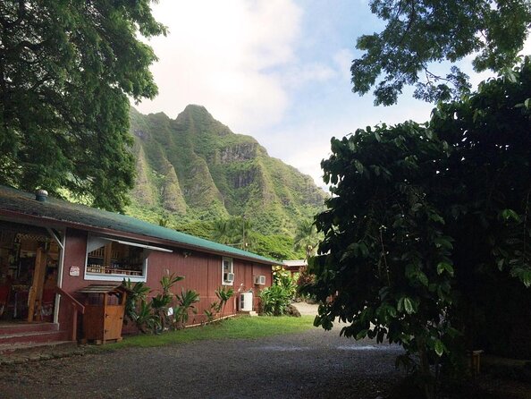 Majestic Circle Island Tour with Lunch - Nuʻuanu Pali: a short stop with a serious story