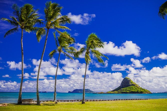 Majestic Circle Island Tour with Lunch - Lunch at Pounders, plus time at Hukilau Marketplace