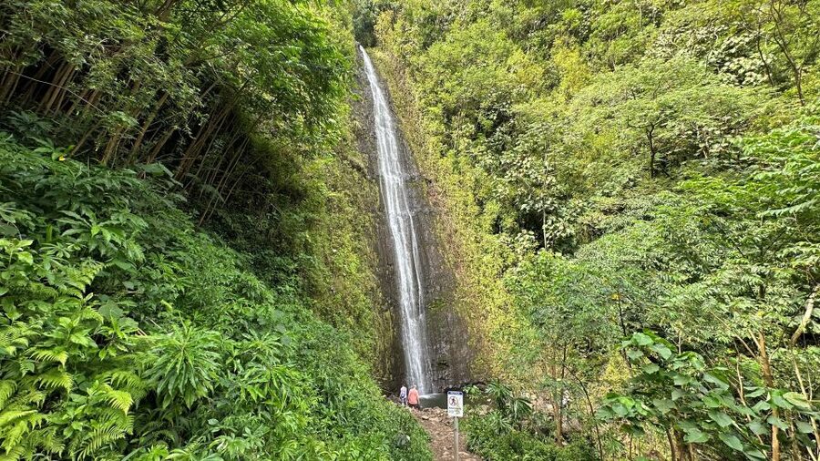 Manoa Falls eBike to Hike - The one-mile rainforest walk to Manoa Falls