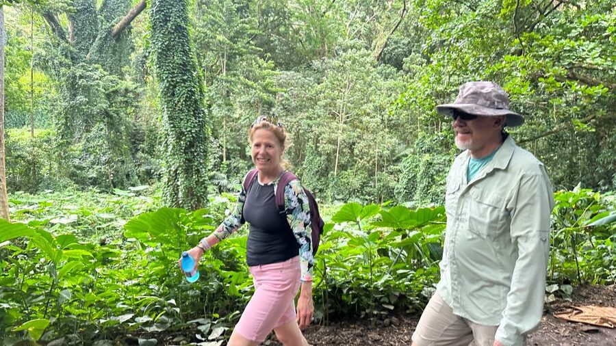 Manoa Falls eBike to Hike - Lunch, snacks, and the return ride