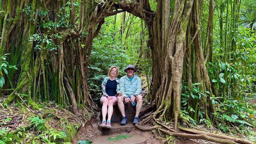 Manoa Falls eBike to Hike - Manoa Valley’s changing weather