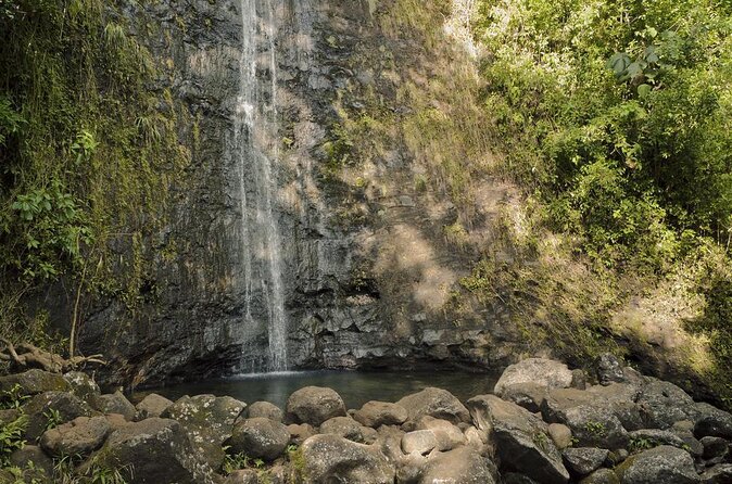 Manoa Falls-Electric Bike to Hike Experience Local meal included - Key points to know before you book