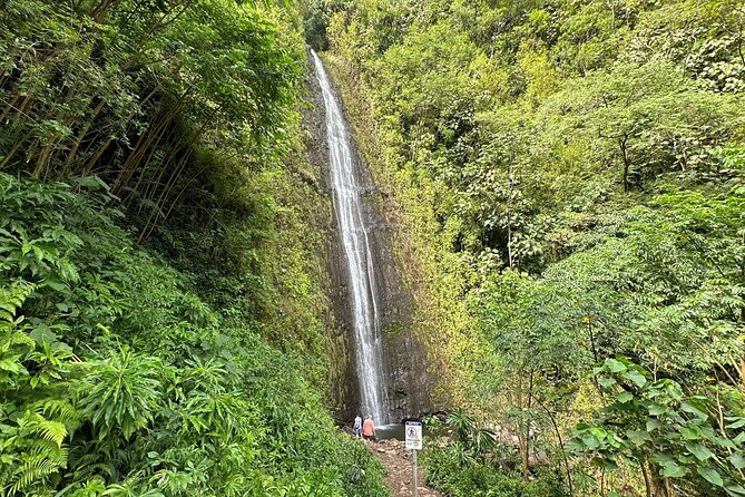 Manoa Falls-Electric Bike to Hike Experience Local meal included - From Kuhio Beach to Kapiolani Park