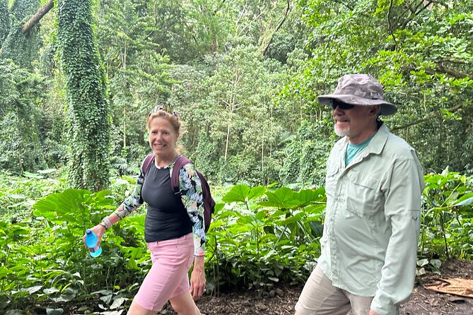 Manoa Falls-Electric Bike to Hike Experience Local meal included - Lunch, snacks, and the personal touch