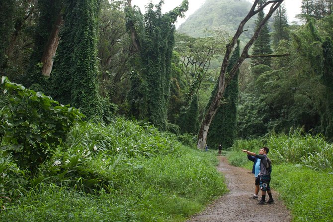 Manoa Falls Rainforest & Self-Guided Hike - The short shuttle ride adds useful context