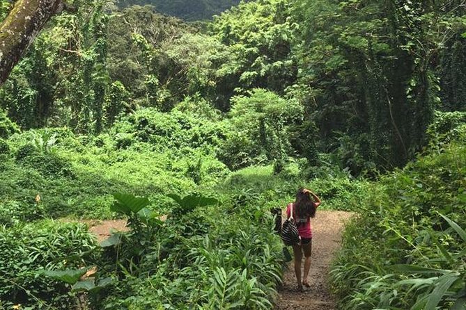 Manoa Falls Rainforest & Self-Guided Hike - Is the hike suitable for children and older walkers?