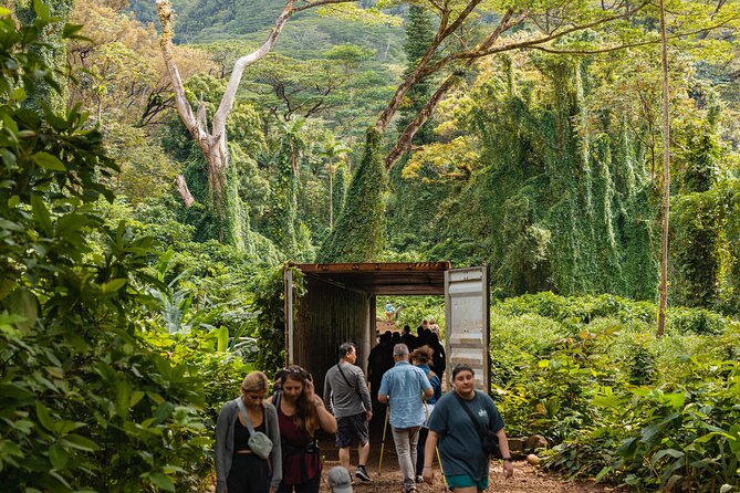 Manoa Waterfall Hike with Waikiki Pickup & Healthy Lunch - Who will enjoy this Manoa Falls outing