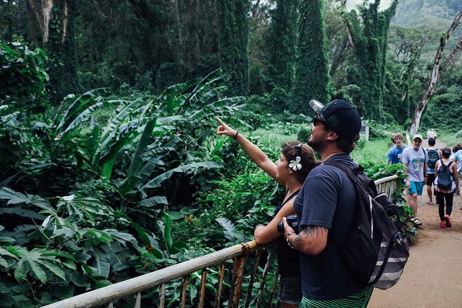 Manoa Waterfall Hike with Waikiki Pickup & Healthy Lunch - FAQ