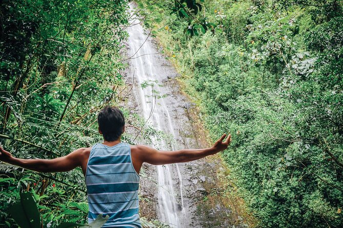 Manoa Waterfall Hike with Waikiki Pickup & Healthy Lunch - Walking under bamboo, ferns, and tropical trees