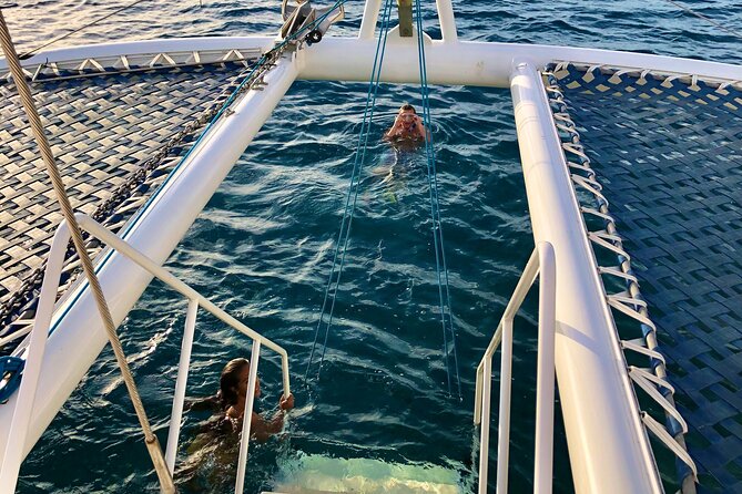 Moana’s Waikīkī Grand Guided Turtle Snorkel & Sailing Adventure - Sailing from Kewalo Harbor toward Turtle Canyon