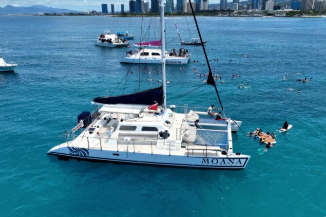 Moana’s Waikīkī Grand Guided Turtle Snorkel & Sailing Adventure - What snorkeling at Turtle Canyon is like