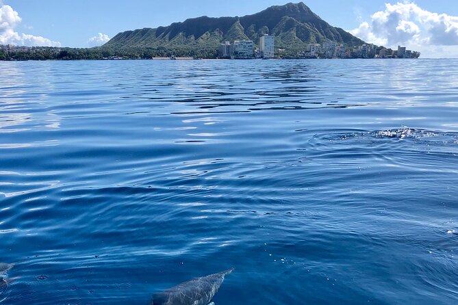 Moana’s Waikīkī Whale Watching Exploration - A comfortable catamaran, with practical comforts