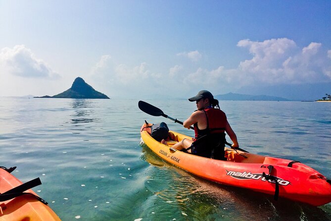 Mokolii Island Self Guided Kayak Tour - Who will get the most from this outing?