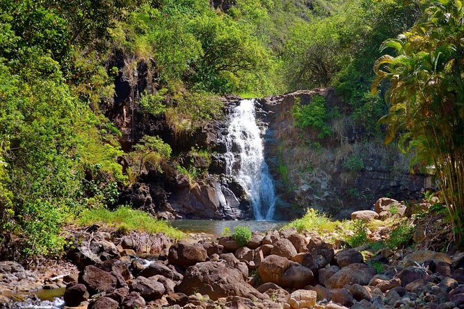 Next Level Oahu Circle Island Tour Snorkel w/Turtles and Byodo-In - Key points to know before booking