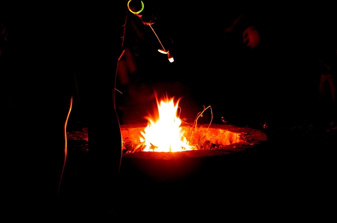 Night Zipline: 3 Zipline Adrenaline Adventure - The guides make a real difference