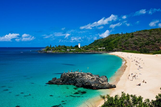 North Shore Adventure Shuttle - Shark’s Cove: three hours to shape your own afternoon