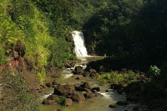 North Shore day,Waterfalls and Turtles Tour - Lunch at a North Shore shrimp truck