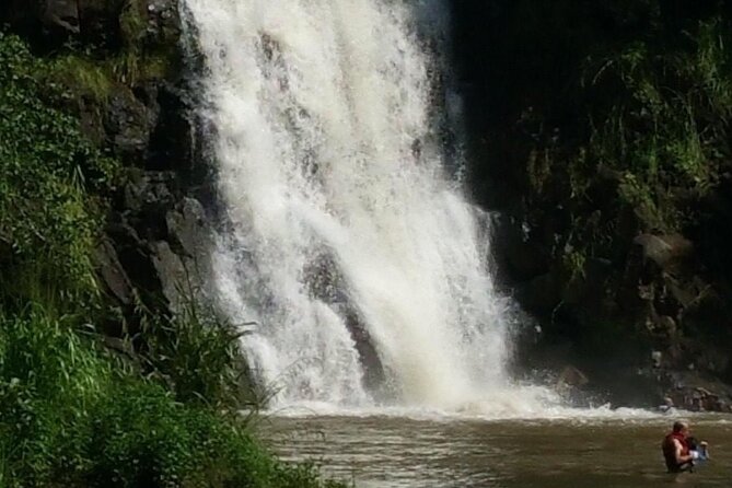 North Shore day,Waterfalls and Turtles Tour - Beach time and the search for sea turtles