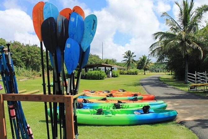 North Shore Farm: Anahulu River, Kayak-Sup, Turtles, Lunch & More - What the $80 price really covers