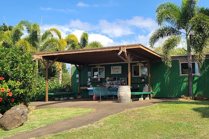 North Shore Farm: Anahulu River, Kayak-Sup, Turtles, Lunch & More - Equipment, instruction, and comfort