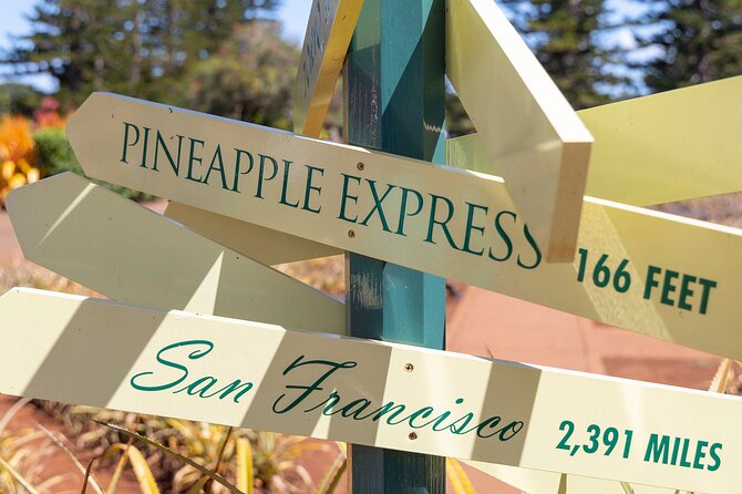 North Shore Haleiwa & Dole Plantation Tour - Booking and timing advice