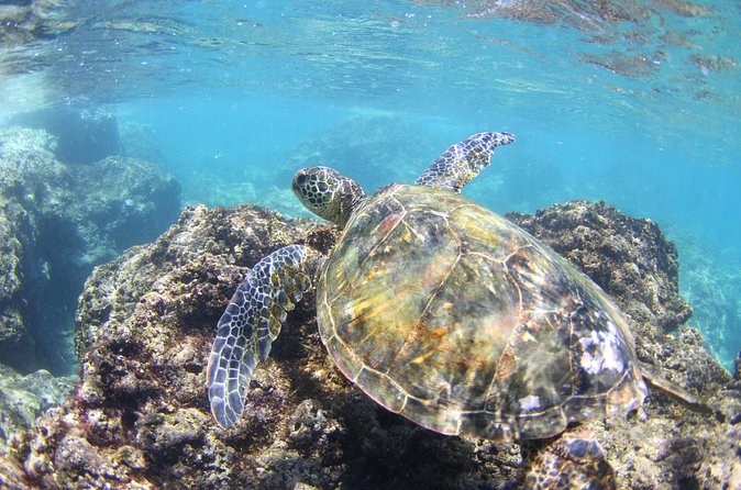 North Shore Stand-Up Paddleboard Lesson - What the stops really add to the experience
