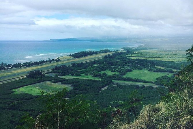 North Shore Tour Guide Hike - Key points to know before booking