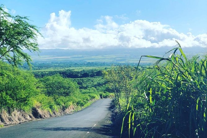North Shore Tour Guide Hike - Leaving Haleiwa for the North Shore hills