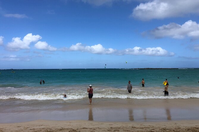 North Shore / Waimea, Falls Day & Swim with Turtles - A relaxed way to reach Oahu’s North Shore