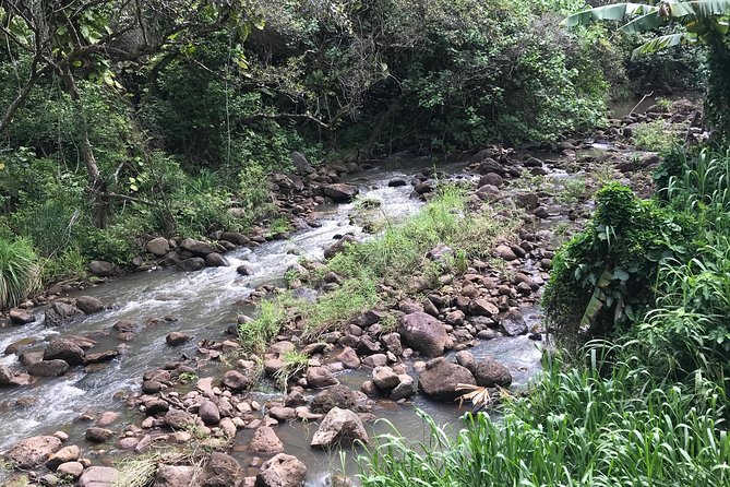 North Shore / Waimea, Falls Day & Swim with Turtles - Local shops, vendors, and the value of a guide