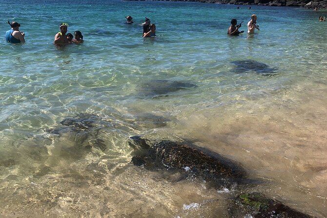 North Shore / Waimea, Falls Day & Swim with Turtles - Timing, fitness, and small practical details