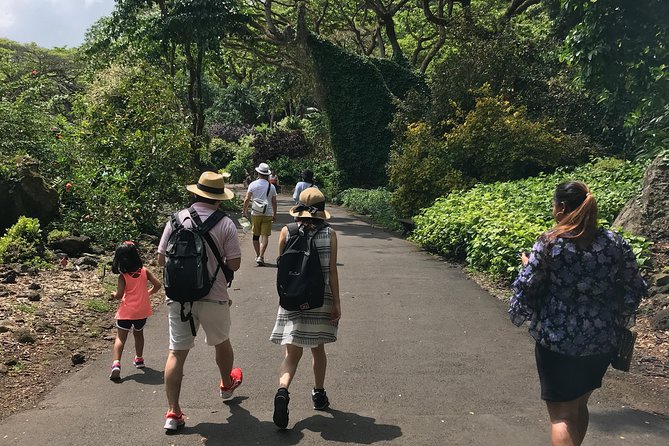 North Shore / Waimea, Falls Day & Swim with Turtles - Coffee, chocolate, and macadamia nuts in Haleiwa