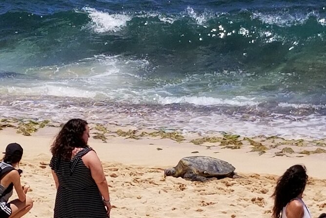 Northshore,Kailua,or Honolulu's Private Grand Circle Island Tour - Honolulu route: Diamond Head, Halona, and royal landmarks