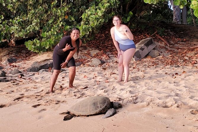 Northshore ocean adventure and circle islandJeep Tour- Guaranteed to see turtles - What the $700 price really buys
