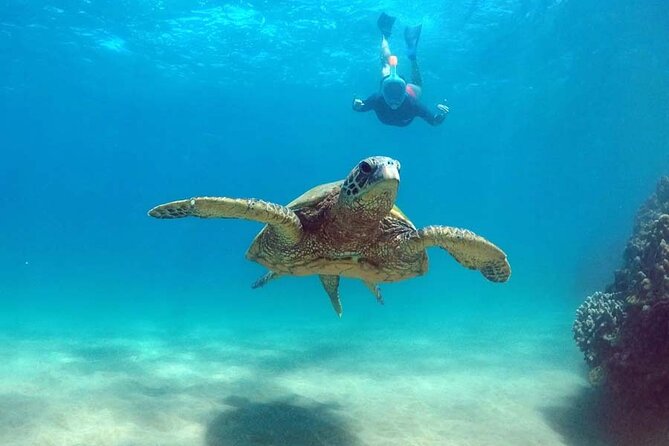 Oahu 5-in-1 Deluxe Cruise: Turtle Snorkeling & Ocean Activities - Crowding is the main tradeoff